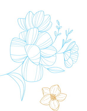 album_deco2