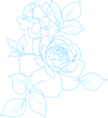 album_deco5